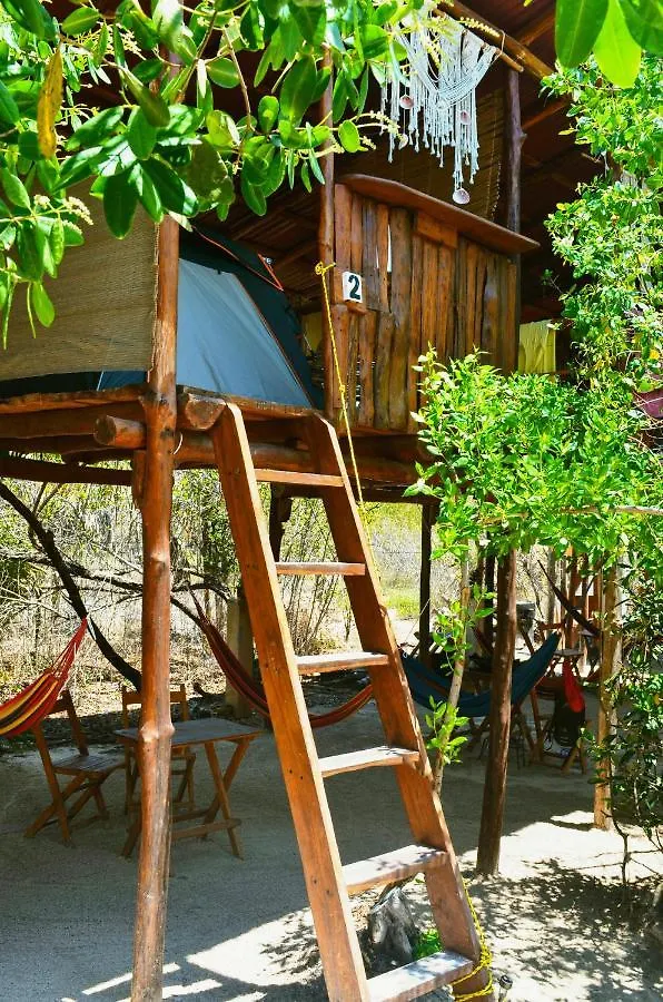 Skycamp Camping Holbox